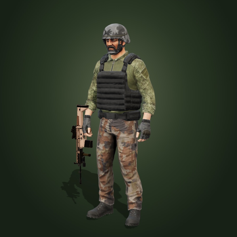 CQB Alpha: Field Helmet, Field Plate Carrier, SCAR Rifle